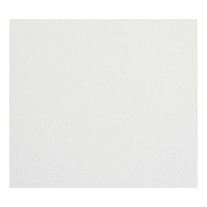 Pacific RF201C Suspended Ceiling Tiles 2 ft x 4 ft Pkg/16