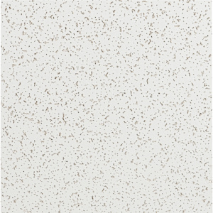 Cortega Suspended Ceiling Tiles 2 ft x 4 ft Pkg/12