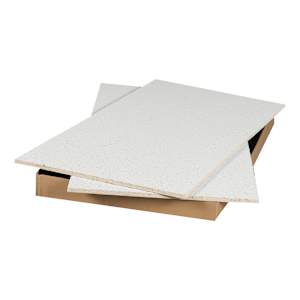 Fire Guard Suspended Ceiling Tiles 2 ft x 4 ft Pkg/6