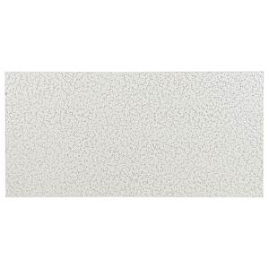 Fire Guard Suspended Ceiling Tiles 2 ft x 4 ft Pkg/6