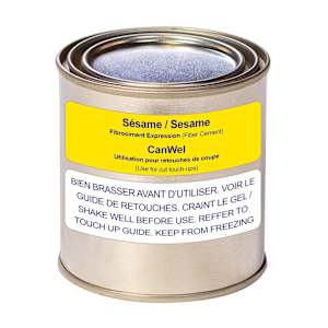 Expression Sesame Fibre Cement Siding Touch-up Paint for CUTS