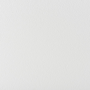 Suspended Ceiling Tiles Kitchen Zone 2 ft x 4 ft Pkg/12