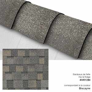 Hip & Ridge Cap Shingles Biscayne