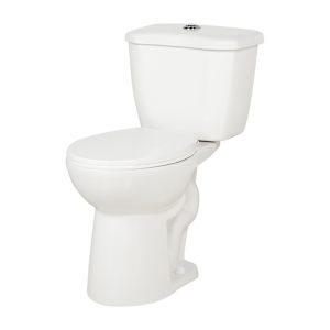 Stan White Dual-Flush 2-Piece Toilet 4 L/6 L