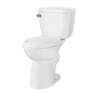 Agnes White Single Flush 2-Piece Toilet 4.8 L