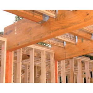 LVL Veneer Beam 9 1/2 in. x 18 ft.