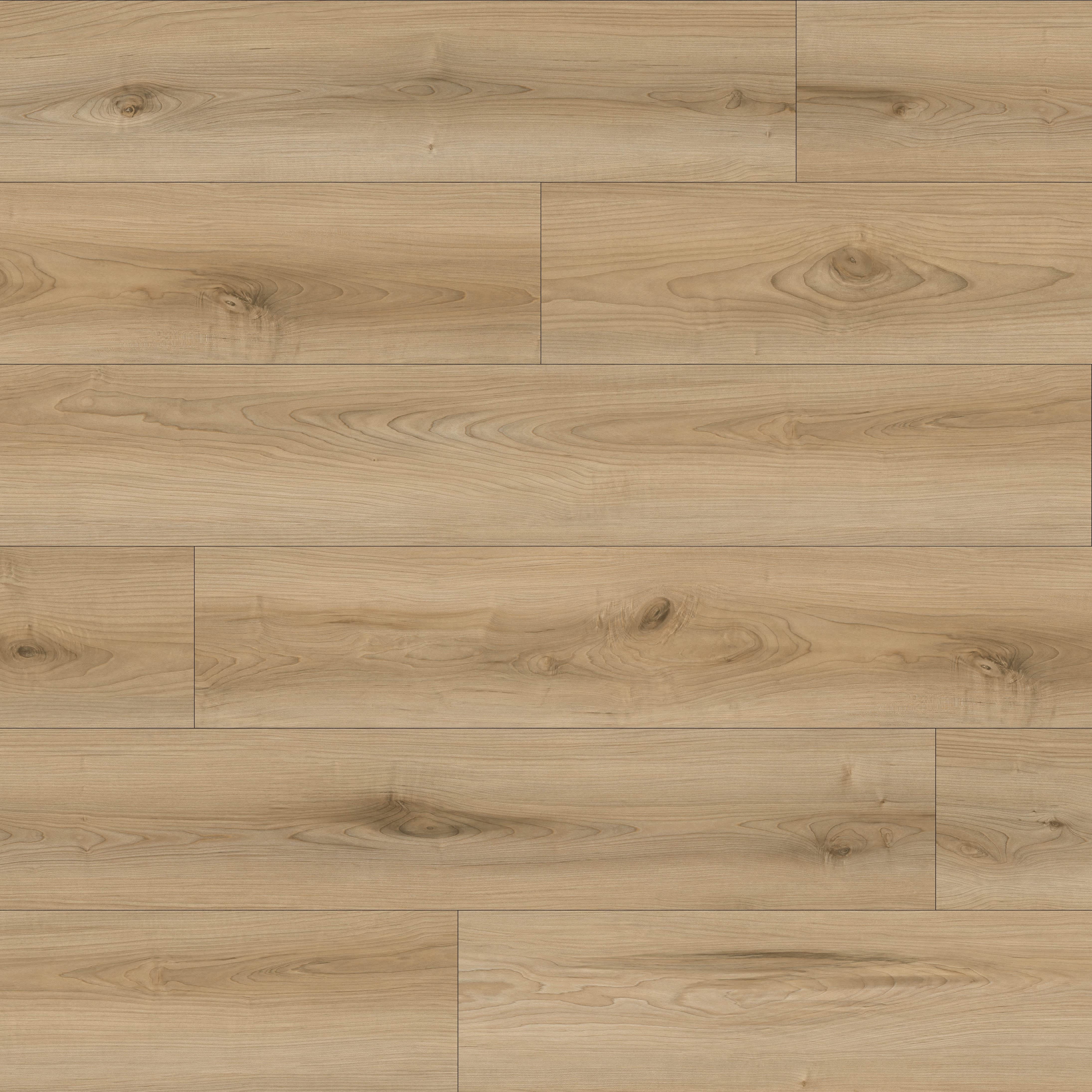 Plancher stratifié 12 mm Érable blond