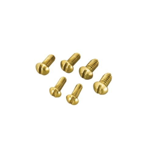 Vis de remplacement pour robinet Pqt/6