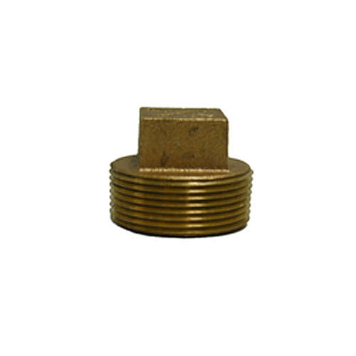 Brass Plug 1/2 in.