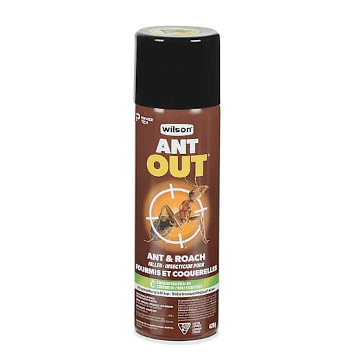 Ant Out, Cockroach, & Crawling Insect Insecticide 425 g