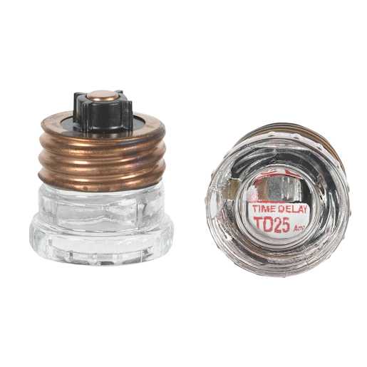 Time Delay Fuse 25 A Pkg/2