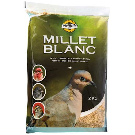 Millet blanc 2 kg