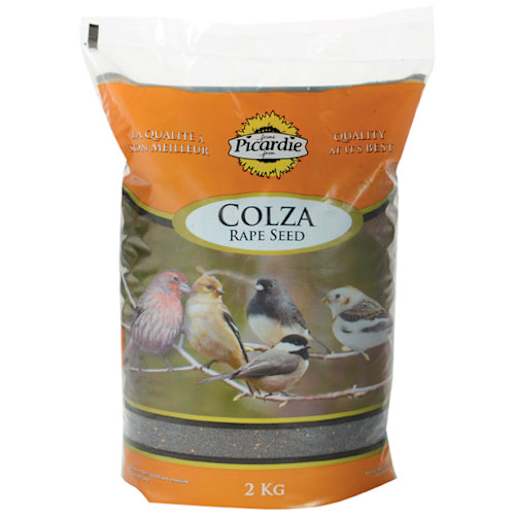 Nourriture pour oiseaux Colza 2 kg