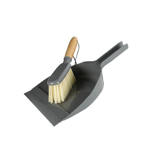 Brosse et porte-poussière