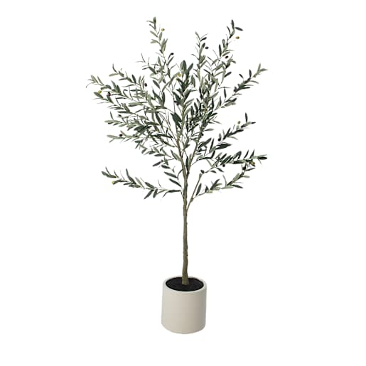 ASTELLA Artificial Olive Plant with White Plastic Pot 5 ft. 11 in.