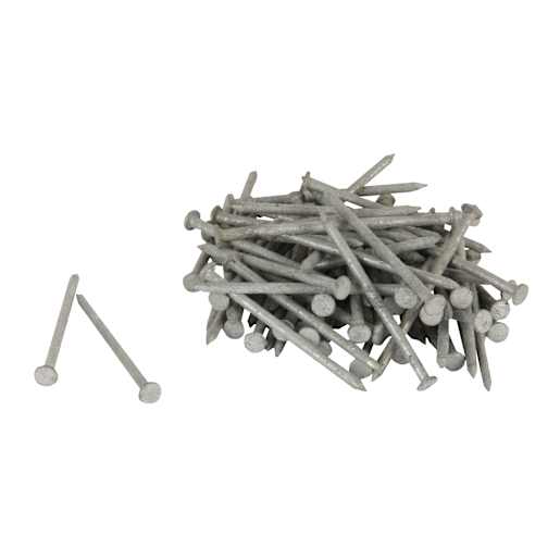 Hot Galvanized Common Nails - 2-1/2 in. Format: Mini