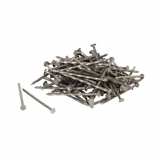 Bright Spiral Nails Ardox 2 1/2 in. Format: Mini