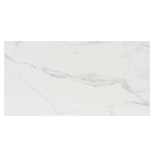 Statuary White Wave Porcelain Tiles 12 in. x 24 in.