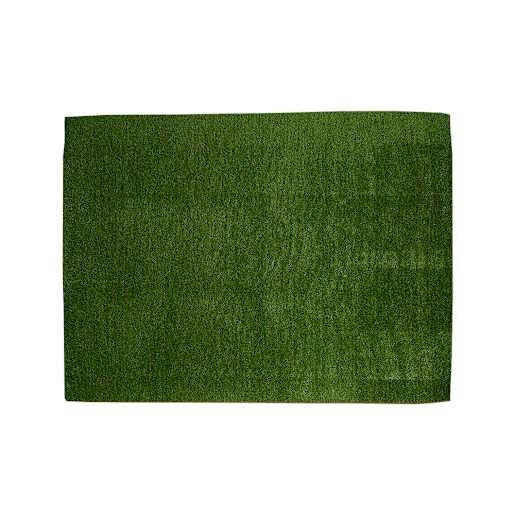 VERTUO De Luxe Lawn Interior and Exterior Carpet 3 ft. x 4 ft. Green