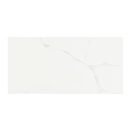 Alpine Carrara Rectified Porcelain Tiles 12 in. x 24 in.