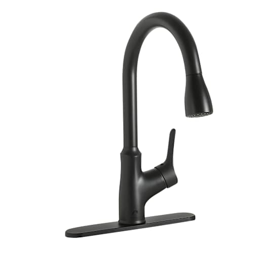 Fusio 1-Handle Pull-Out Kitchen Faucet Black