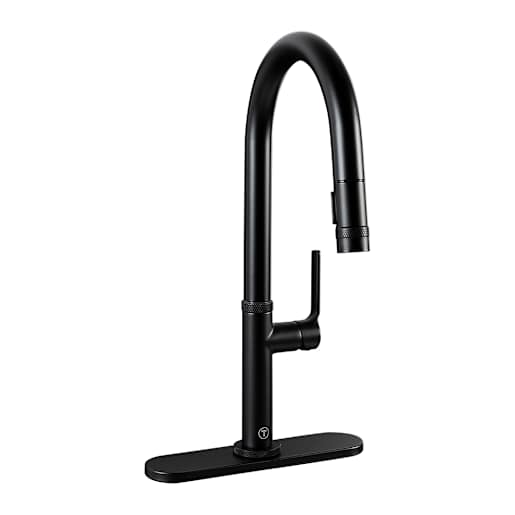 TASSILI SUPRA Federico 1-Handle Pull-Out Kitchen Faucet Black