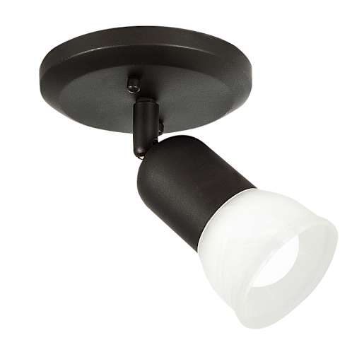 Jasper 1-Light Ceiling Mount