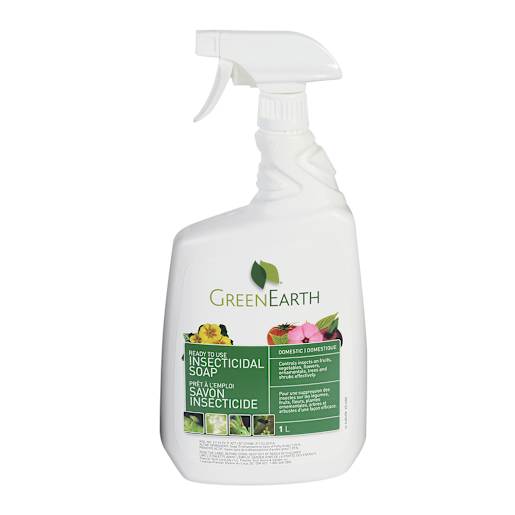 Insecticidal Soap - 1 L