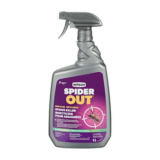 Spider Out Spider Killer 1 L