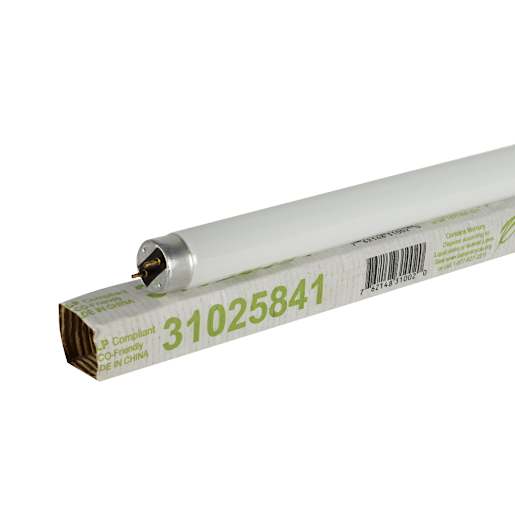 T8, 25 W Cool White Fluorescent Tube 36 in.