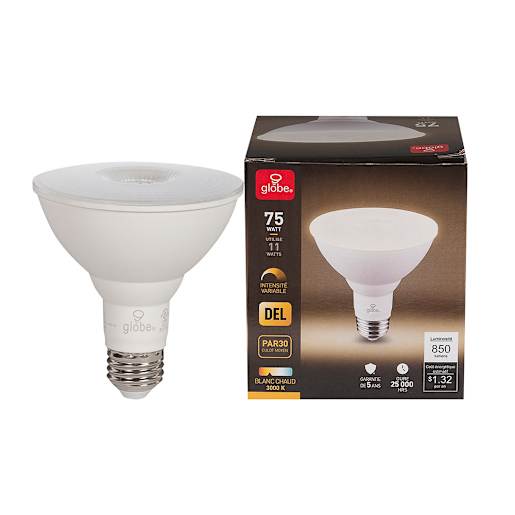 Ampoule-réflecteur DEL PAR30, 12 W