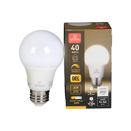 Ampoule DEL A19 blanc chaud 5,5 W