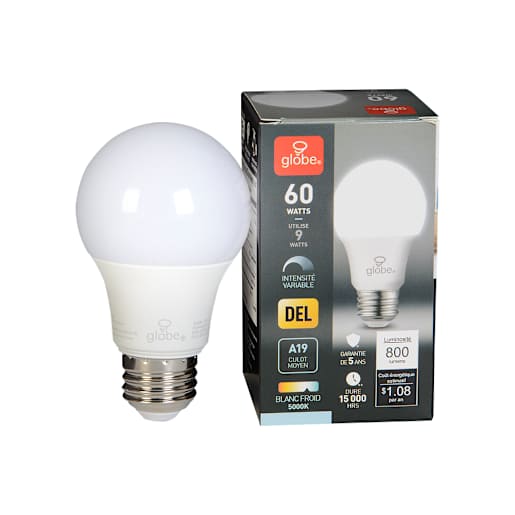 A19 Daylight LED Light Bulb 9 W