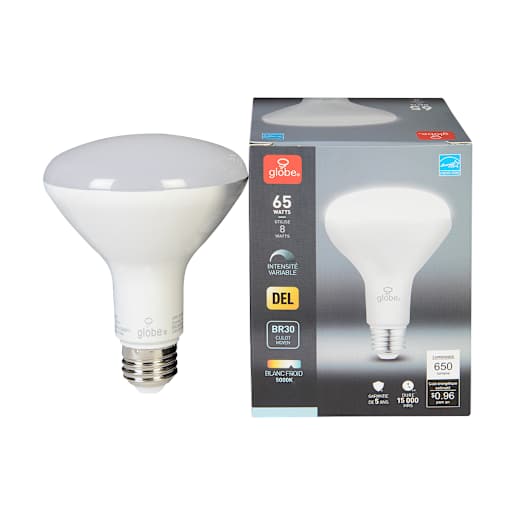 Ampoule-réflecteur DEL BR30, 9 W