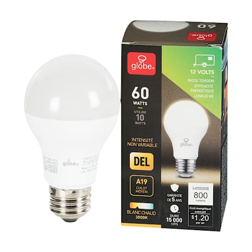 Ampoule DEL A19, 10 W blanc chaud