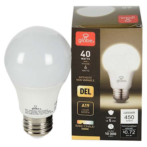 Ampoule DEL A19 blanc chaud 6 W