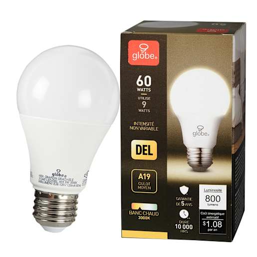Ampoule DEL A19 blanc chaud 9 W