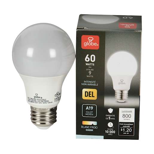 Ampoule DEL A19 blanc froid 9 W