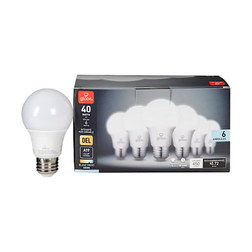 A19 Daylight LED Light Bulbs 6 W Pkg/6