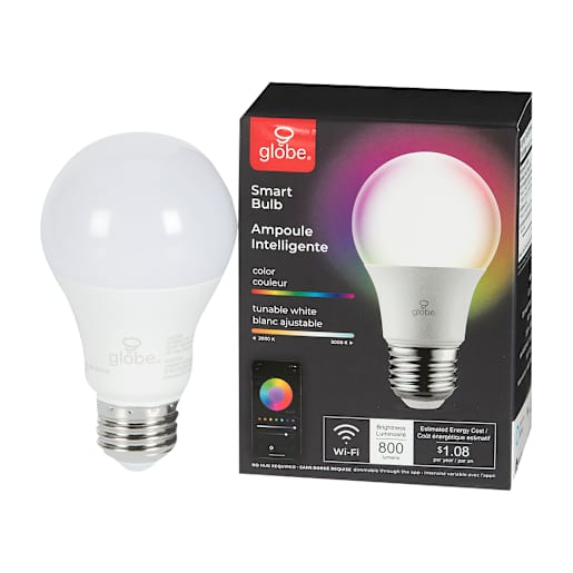 Ampoule intelligente DEL A19, 10 W