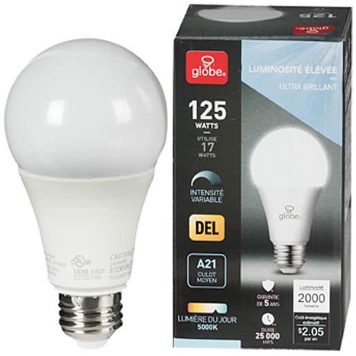 Ampoule DEL A21 lumière du jour 17 W
