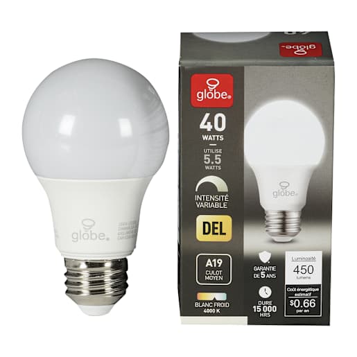 Ampoule DEL A19 blanc froid 5,5 W