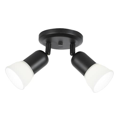 Jasper 2-Light Ceiling Mount