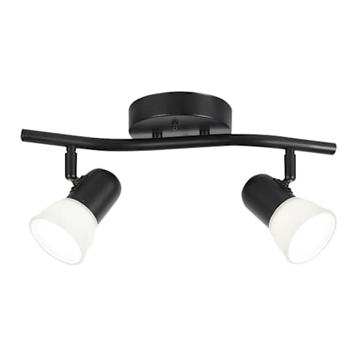 Jasper 2-Light Track Lighting