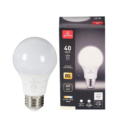 Ampoule DEL A19, 5,5 W blanc froid