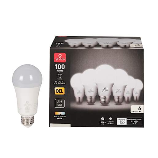 Ampoules DEL A19, 14 W blanc froid Pqt/6