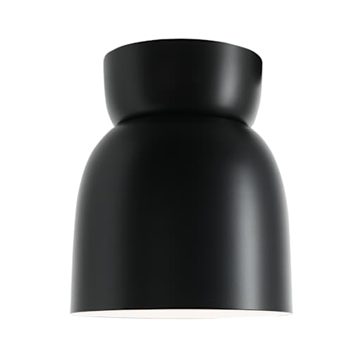 Taylor 1-Light Ceiling Mount