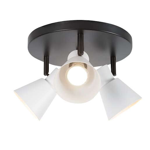Esdras 3-Light Ceiling Mount