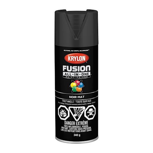 Fusion All-In-One Paint & Primer Flat Black 340 g