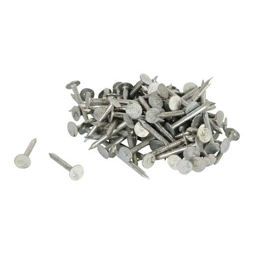 Electro-Galvanized Roofing Nails - 2 in. 50 lb